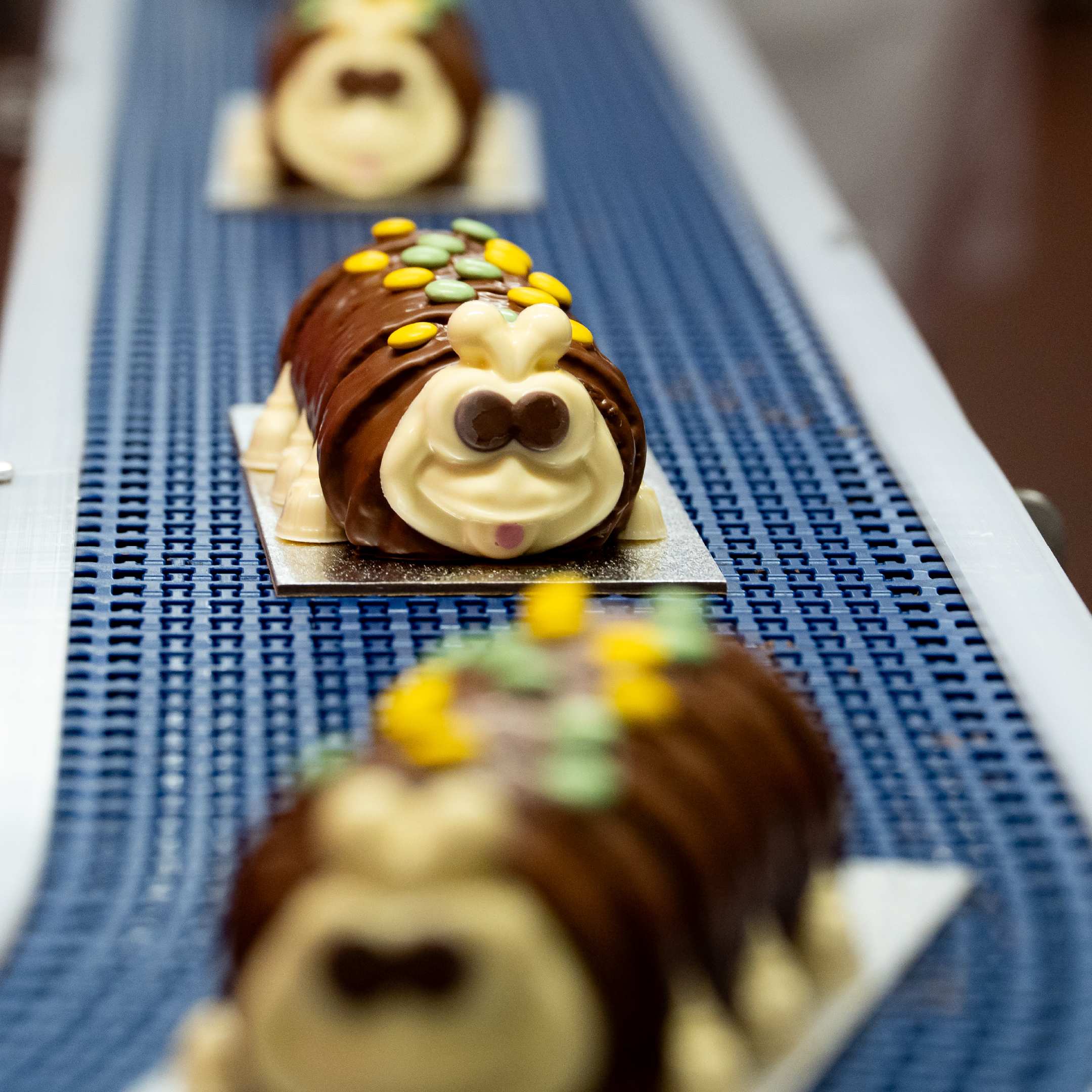 Made Without Colin the Caterpillar Cake
