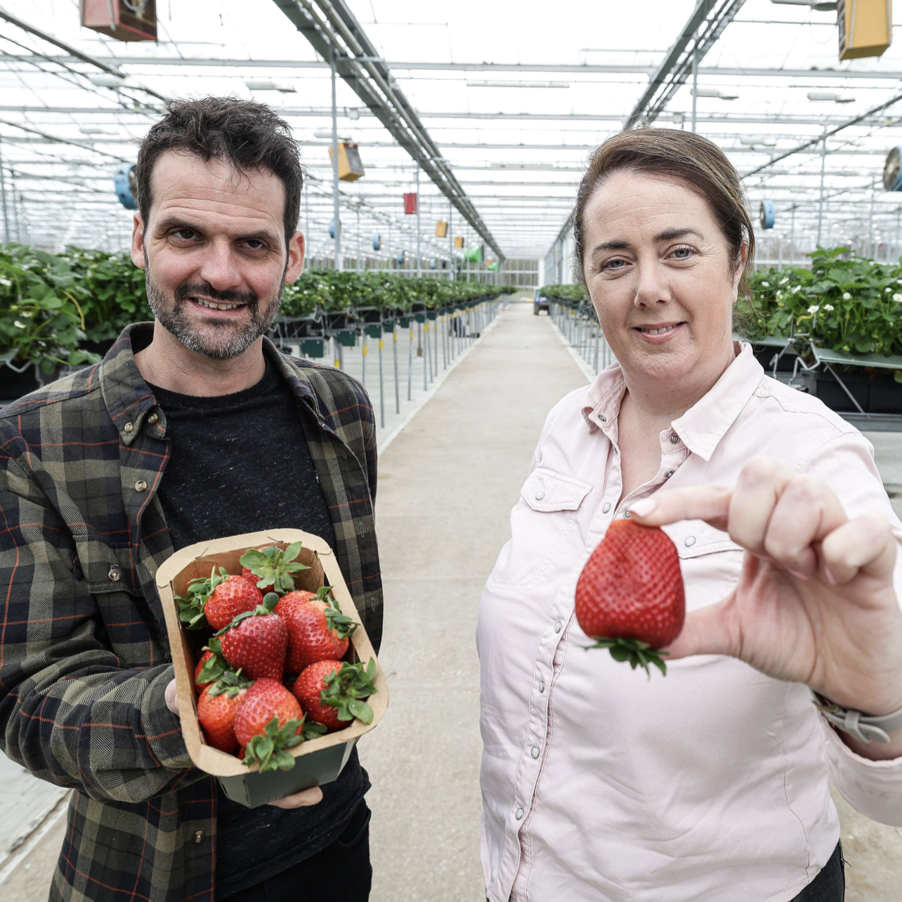 two people holding a punnet of strawberries
