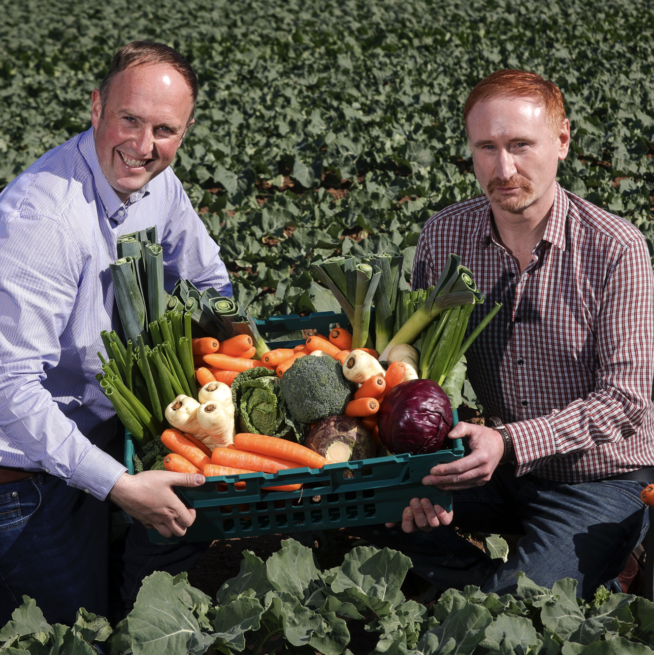 Two people in a farmer's field holding a box of fresh produce
