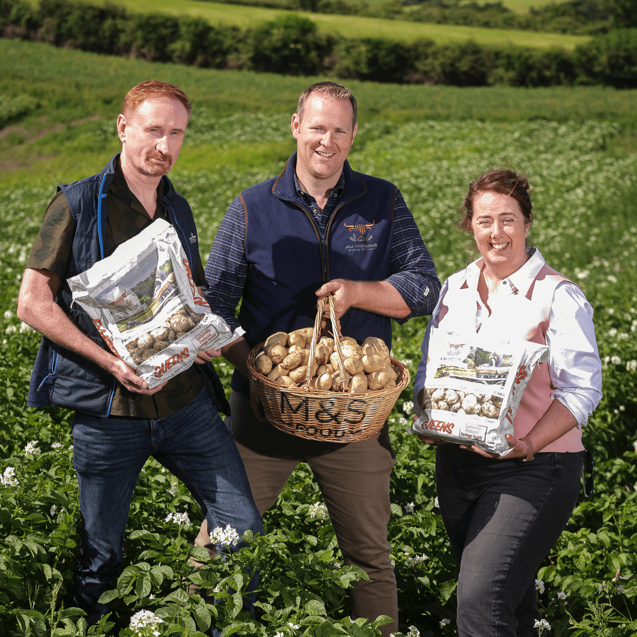 Three people standing in a potato field