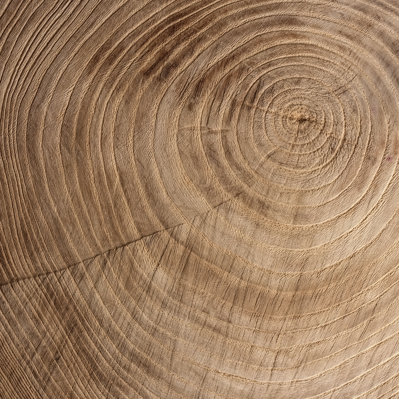 Close up of wood