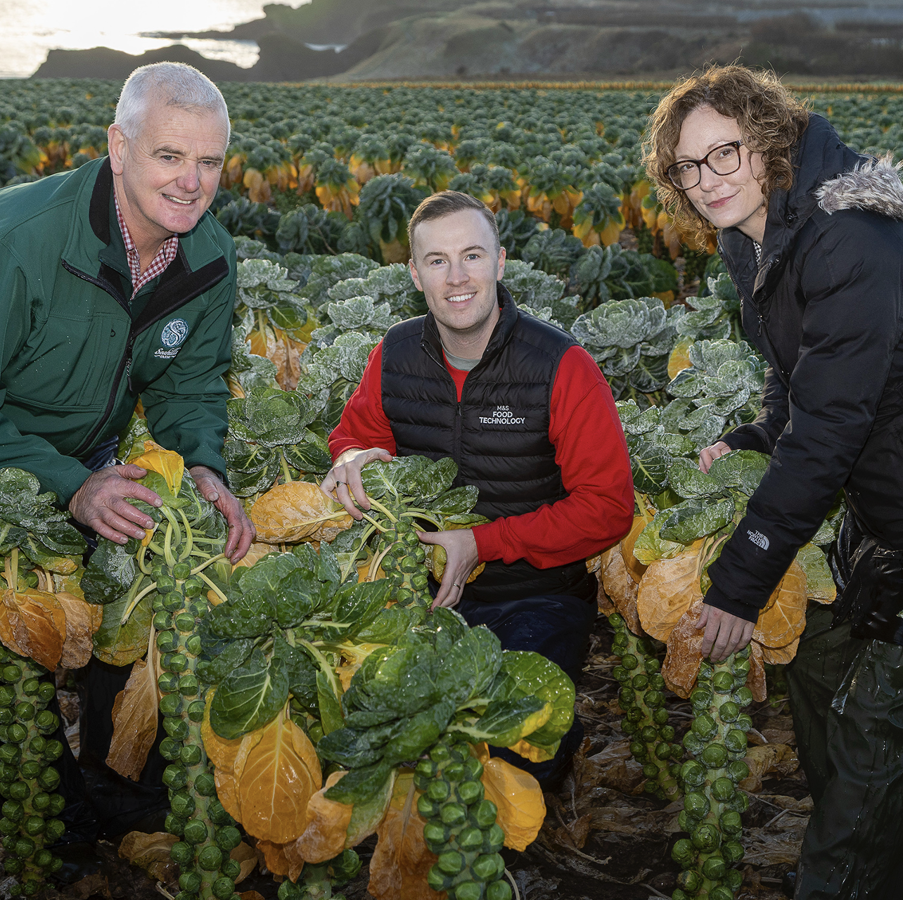 three people standing in a field of sprouts