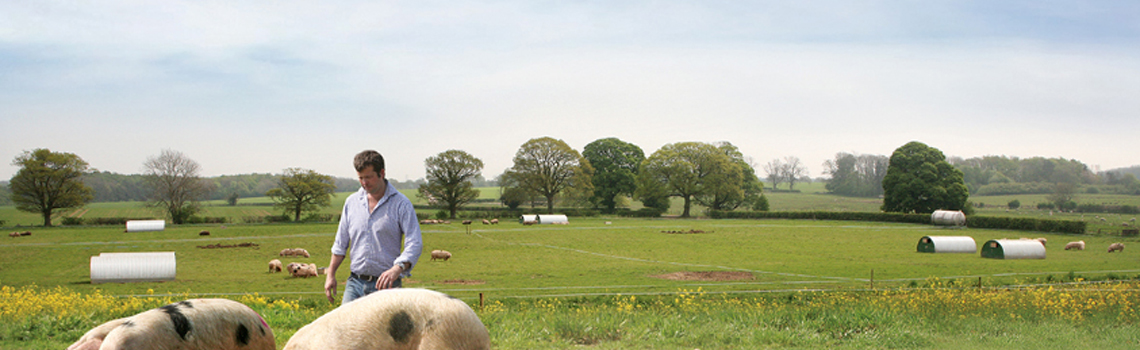 Reducing antibiotic use in agriculture