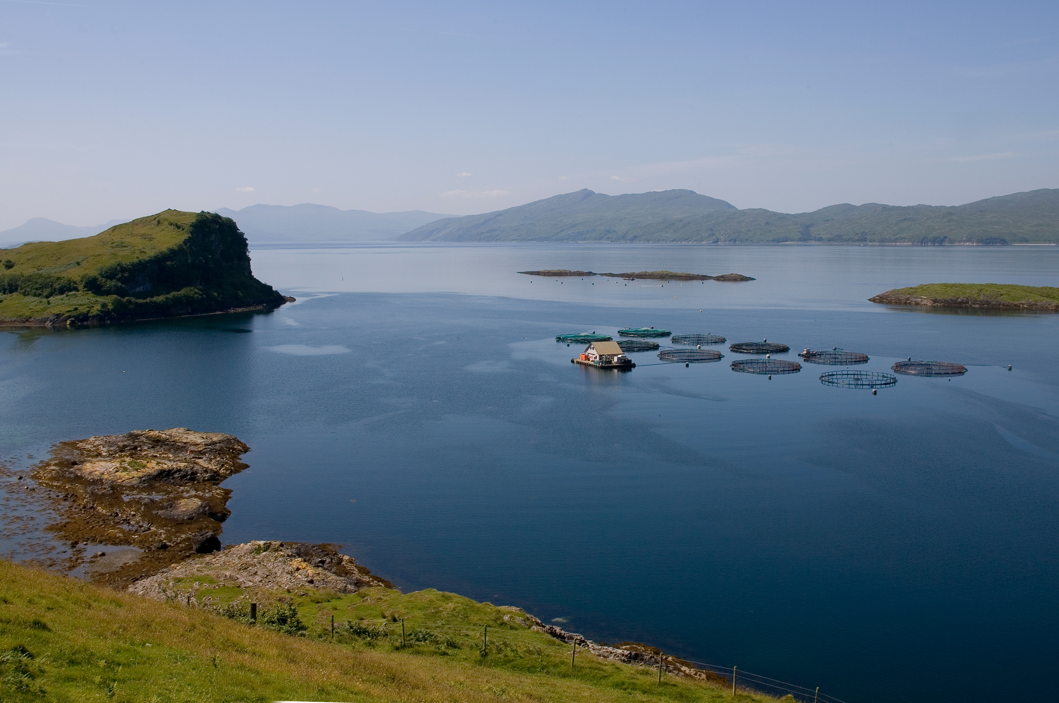 LOCHMUIR SALMON – 10 YEARS OF BEING RICH IN OMEGA 3