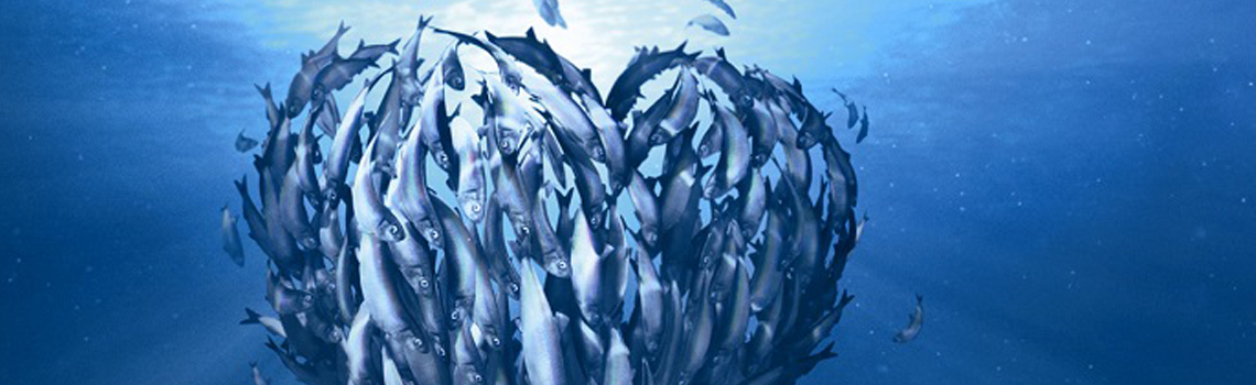 World Oceans Day - What is M&S doing to protect our Oceans?