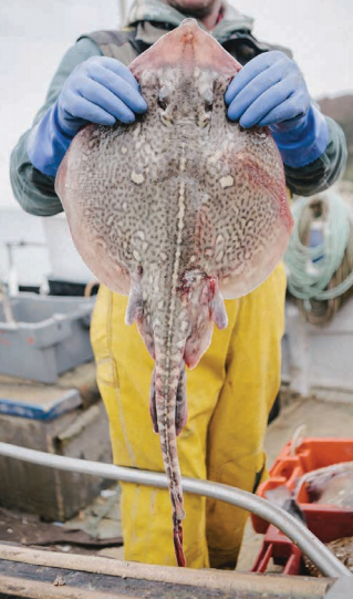 pioneering best practice in the fishing industry