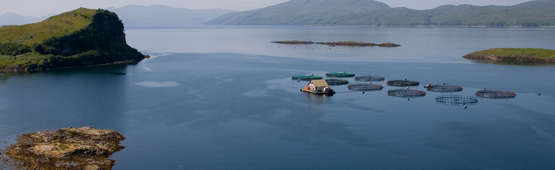 LOCHMUIR SALMON – 10 YEARS OF BEING RICH IN OMEGA 3