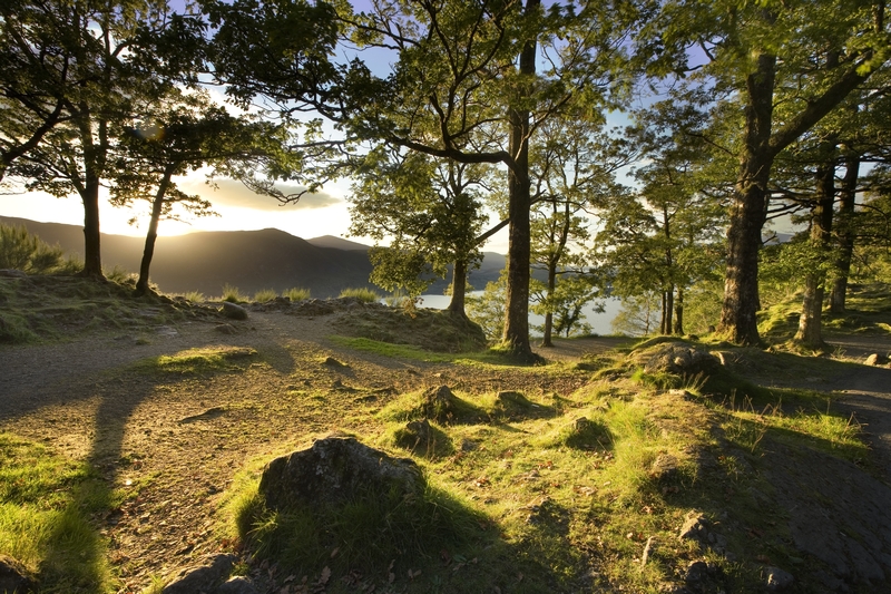 The M&S Christmas Card Recycling Scheme