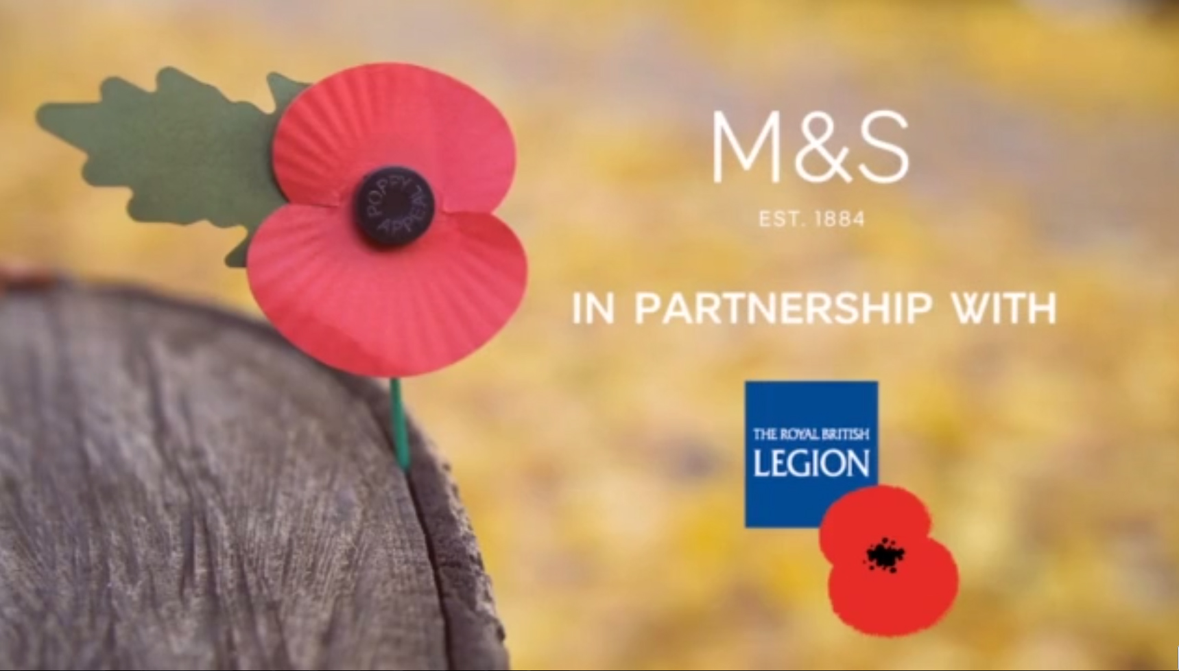The Royal British Legion's Poppy Collection partnership with M&S