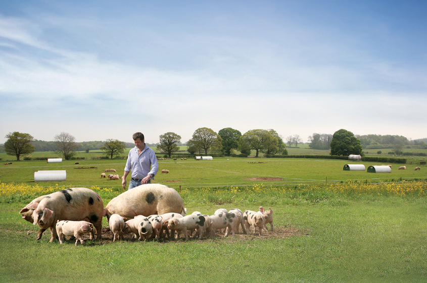 Reducing antibiotic use in agriculture