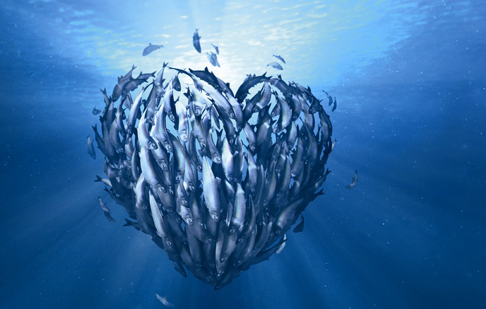 World Oceans Day - What is M&S doing to protect our Oceans?