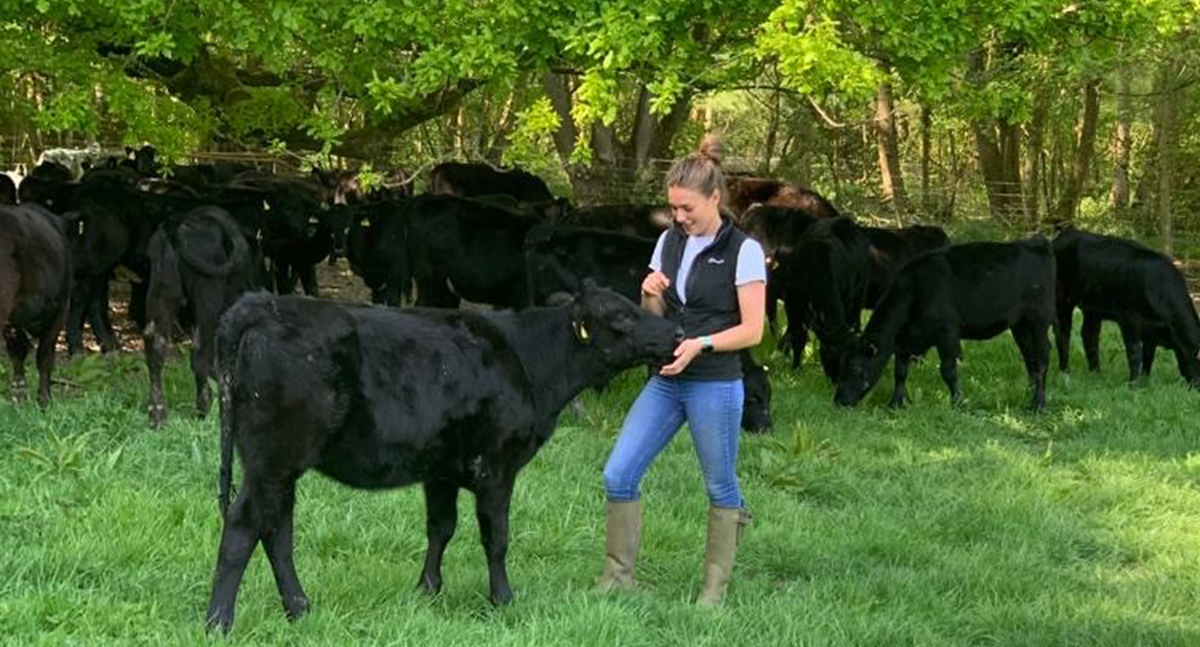 Agriculture and Supporting British Farmingold Marks & Spencer