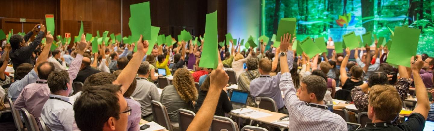 20 years of FSC and why roads cause deforestation