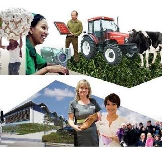 2014 – A Year in Review for Sustainable Business