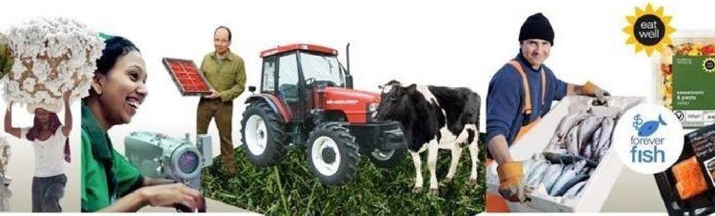 2014 – A Year in Review for Sustainable Business