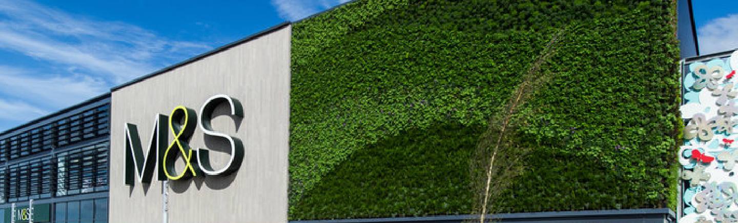 2015 – A year in Preview for Sustainable Business