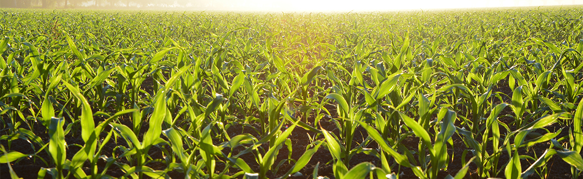 Responsible recruitment week