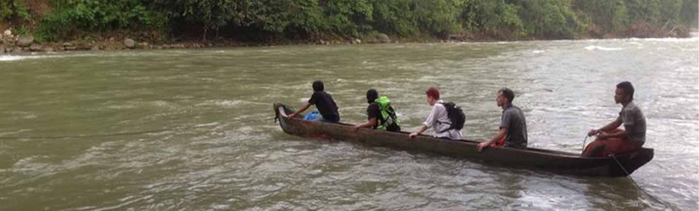 fighting-for-forests-the-leuser-ecosystem