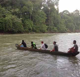 fighting-for-forests-the-leuser-ecosystem