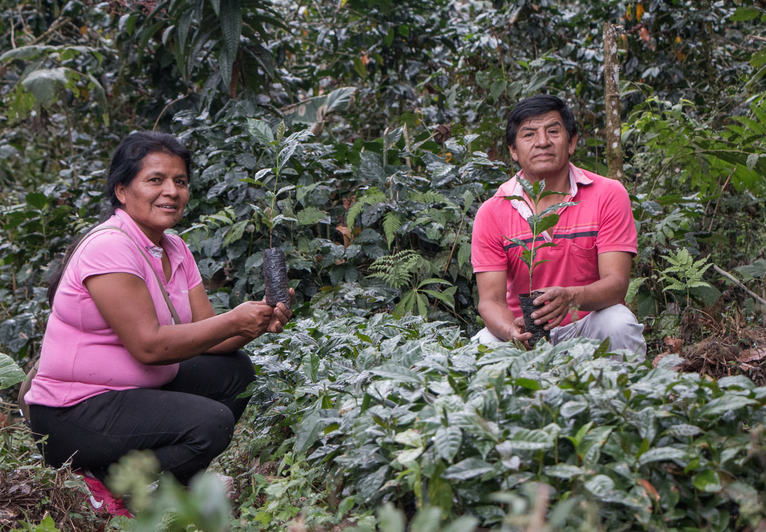 Our collaborative programme