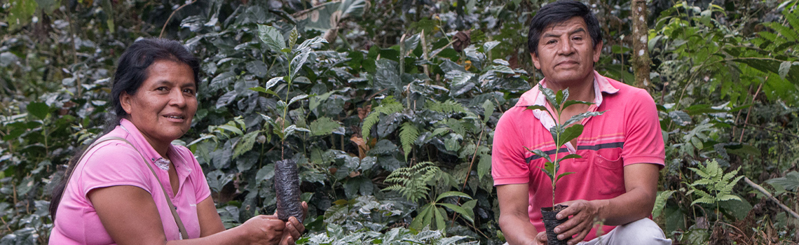 Our collaborative programme