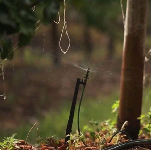 Developing Marks & Spencer approach to water stewardship