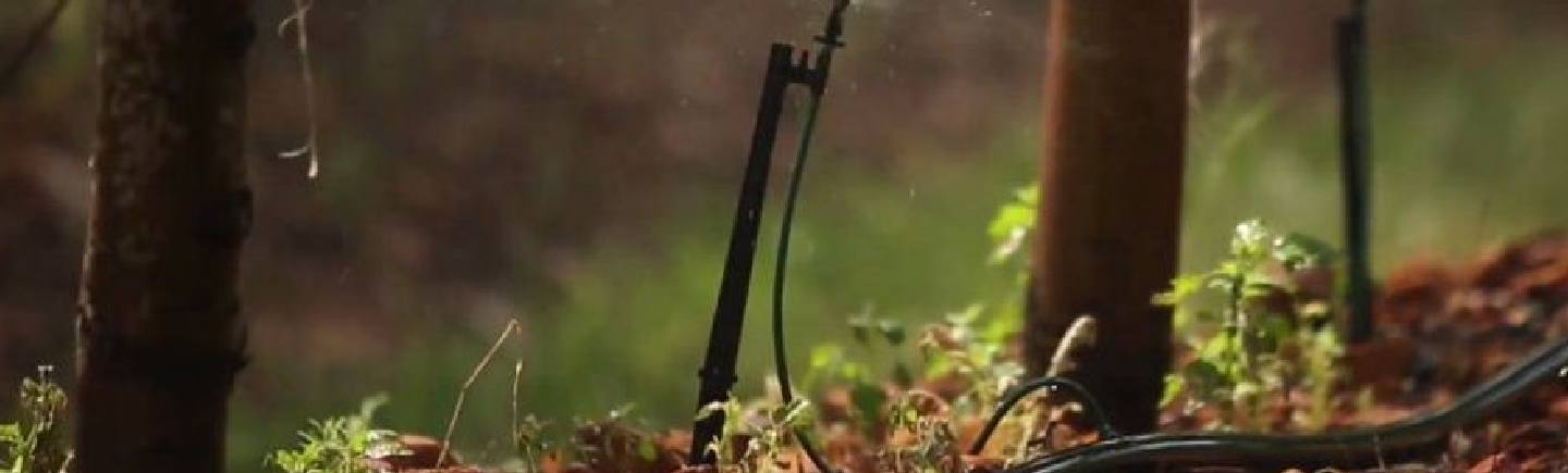 Developing Marks &amp; Spencer approach to water stewardship