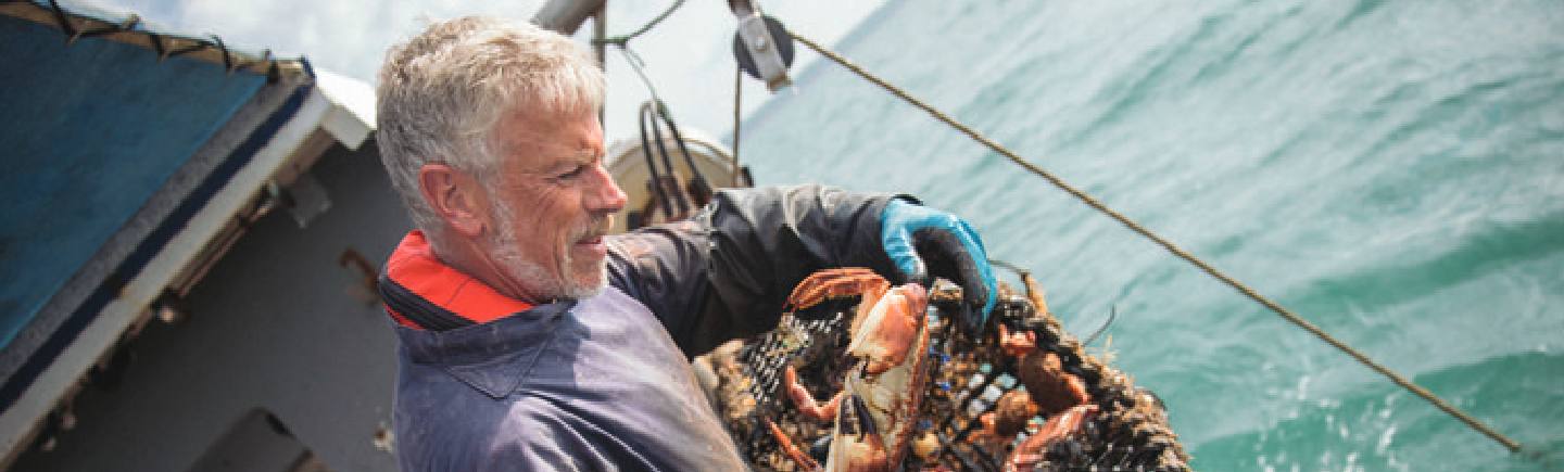 Economy and nature cannot be separated