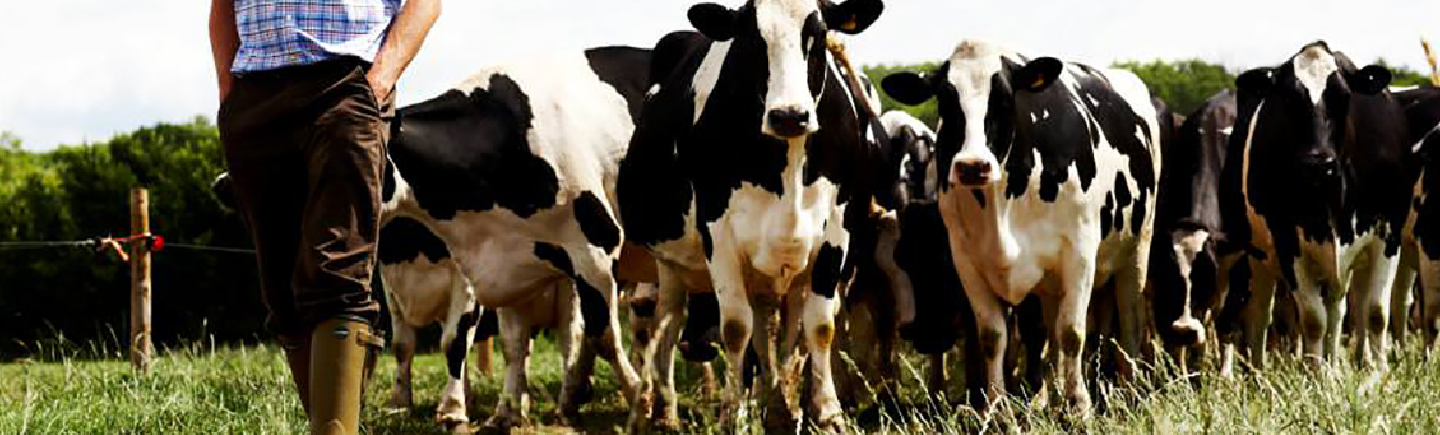 Fair milk prices
