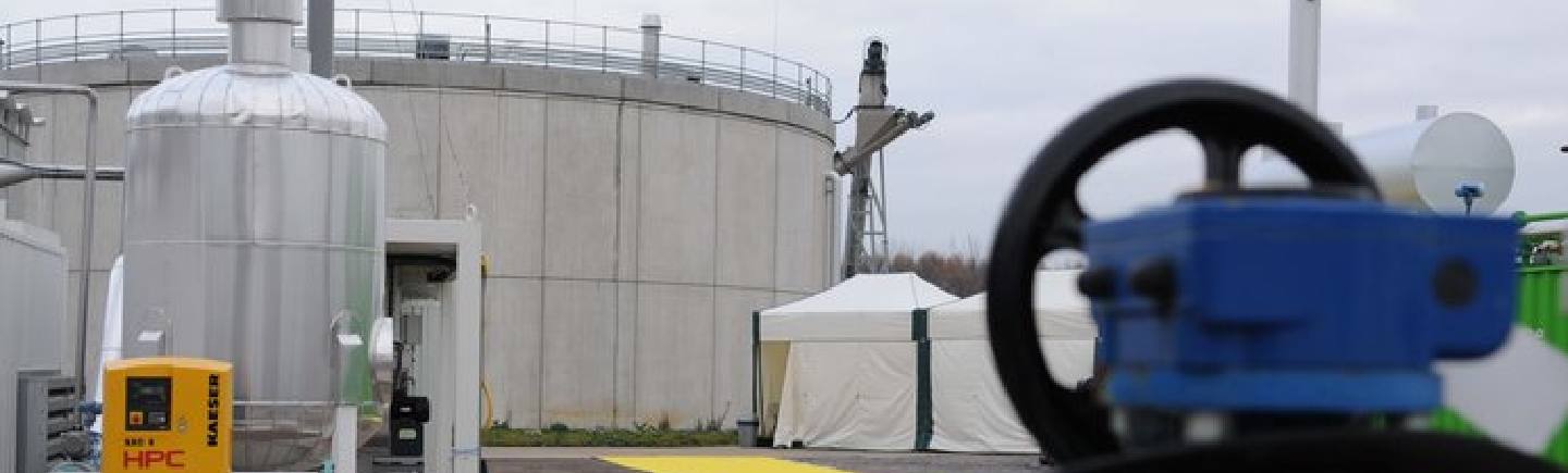 Greening the gas grid