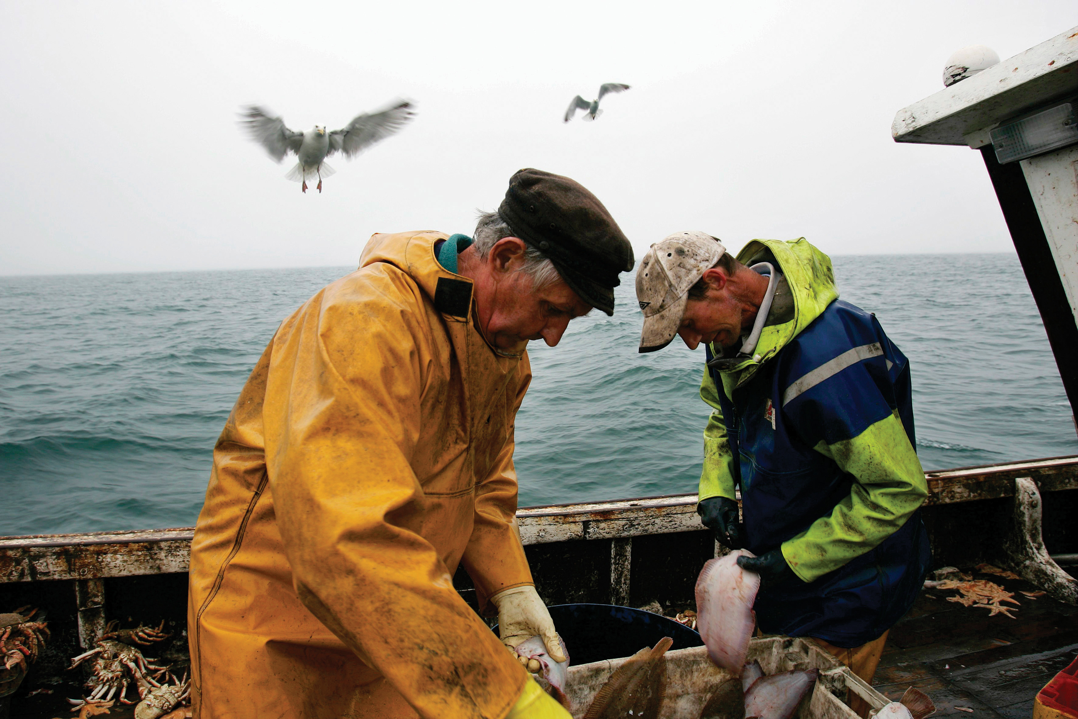 Responsible fishing scheme and the global ghost gear initiative