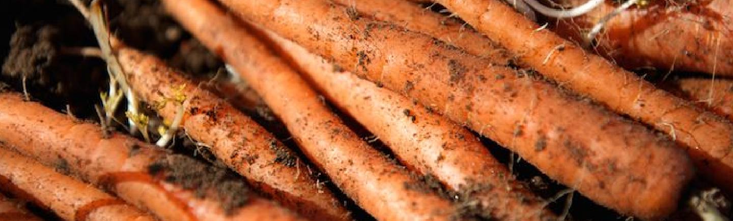 M&S Agricultural Leadership Programme