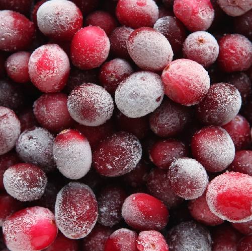 New Festive Freeze campaign to tackle food waste