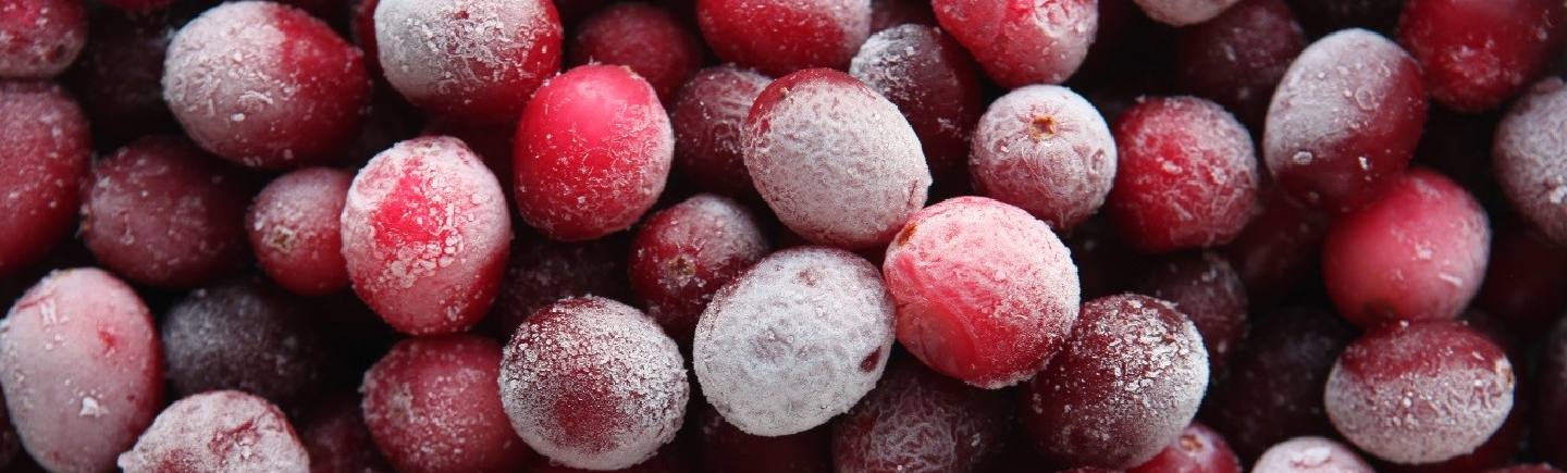 New Festive Freeze campaign to tackle food waste