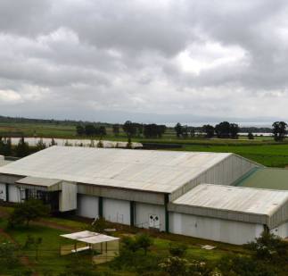 new-from-old-rebuilding-a-kenyan-packing-operation-from-recycled-materials