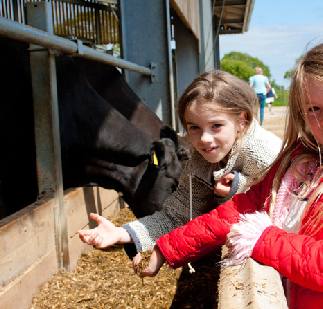 Open Farm Sunday 2014