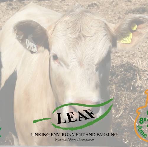 Open Farm Sunday 2014 - the best one yet!