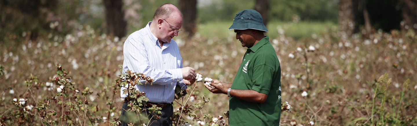 Sourcing sustainable cotton