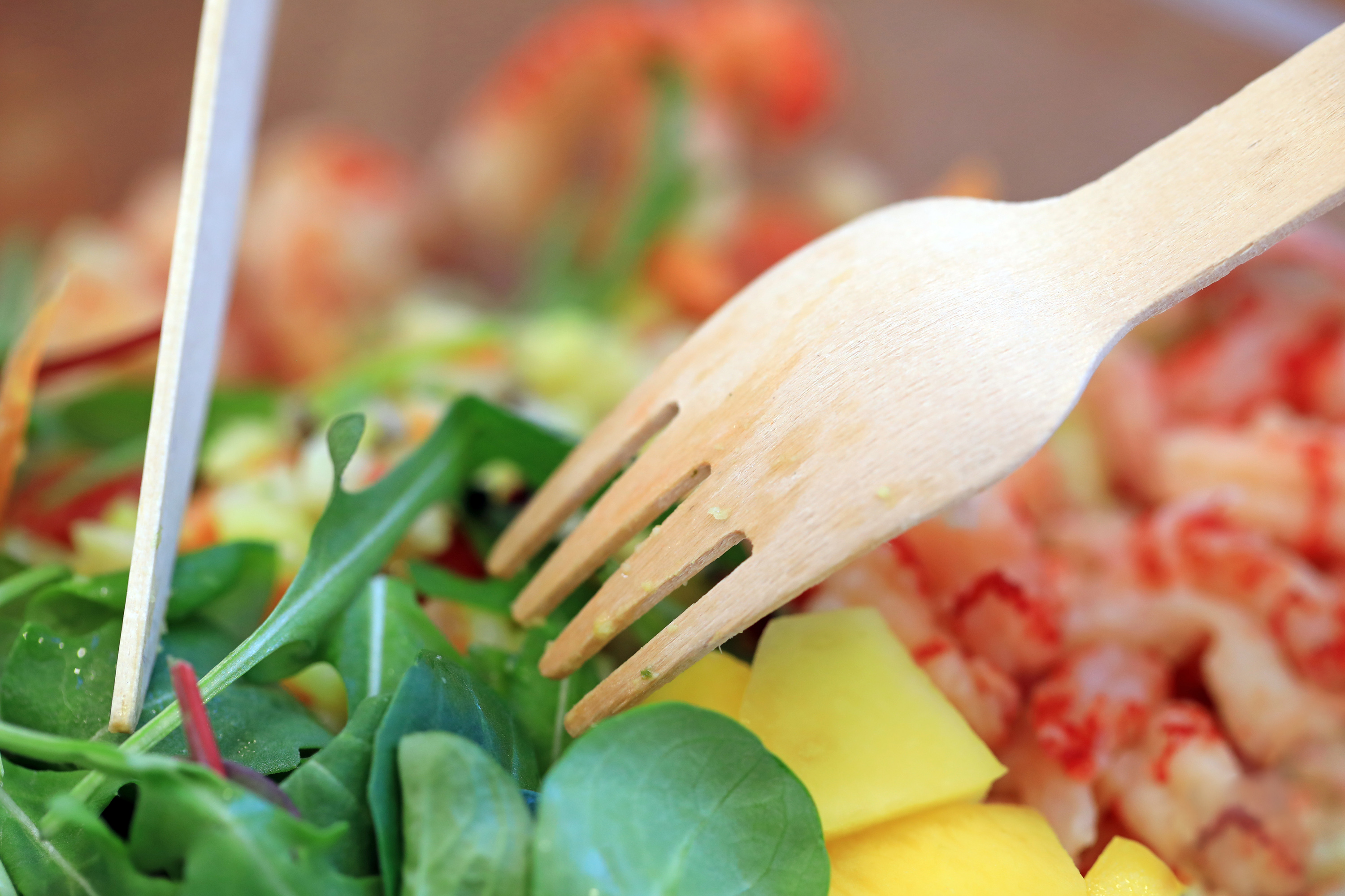 Too much plastic isn’t fantastic