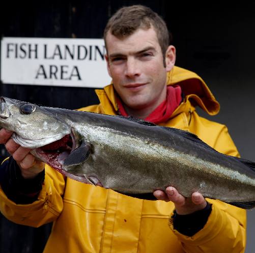 Seafood sourcing and marine protection
