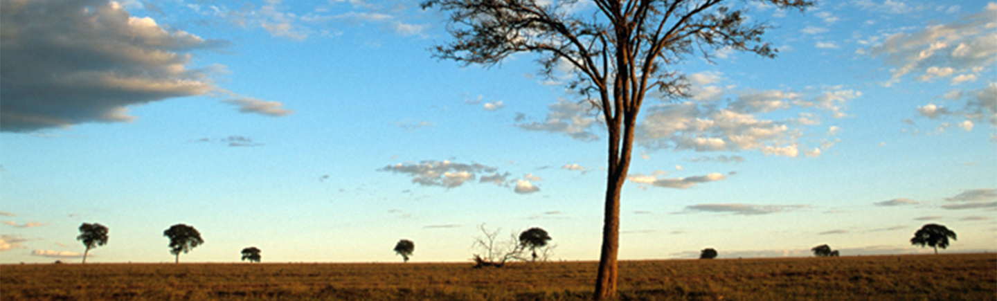 Industry roundtable on soy