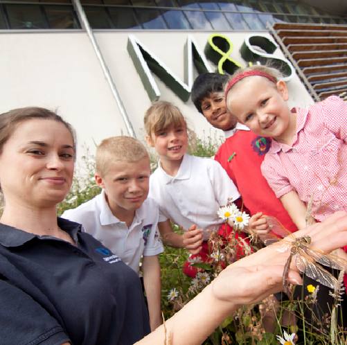 The biodiversity business: Making green count