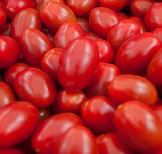 Tomato Innovation - greener energy for the Isle of Wight