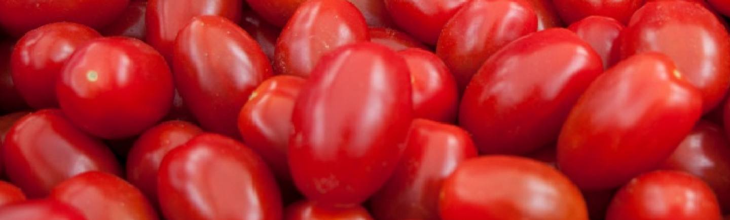 Tomato Innovation - greener energy for the Isle of Wight