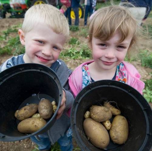 Visit a farm on 7th june!