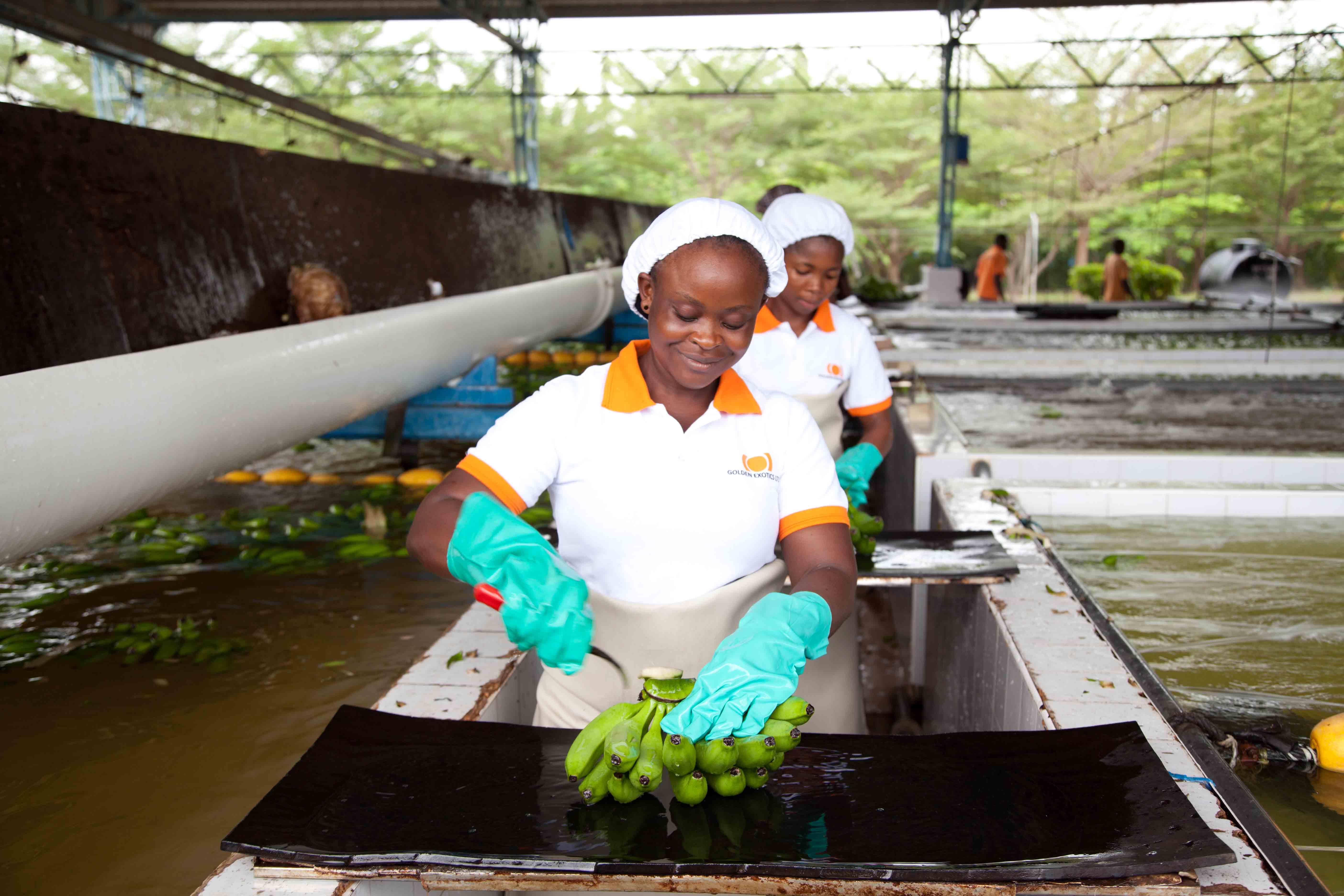 Dialling up collaboration