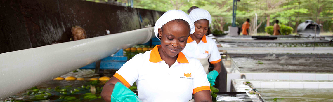 Dialling up collaboration