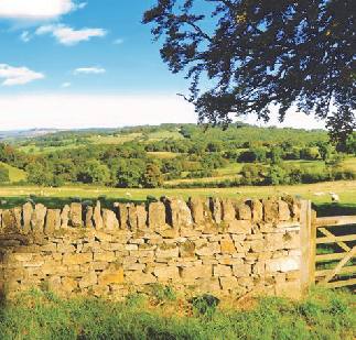 What are the major agricultural themes in 2016?