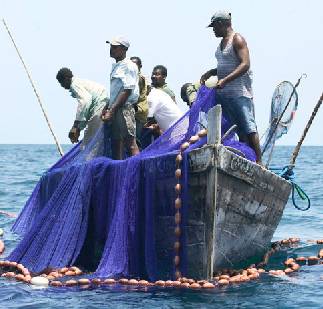 WWF Living Planet Report - Businesses are part of the solution