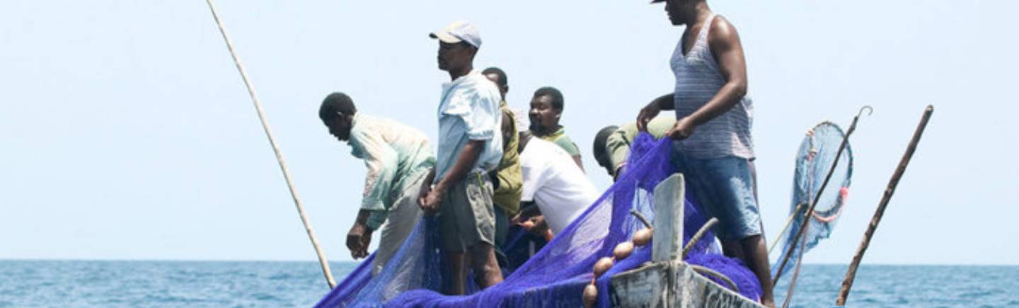 WWF Living Planet Report - Businesses are part of the solution